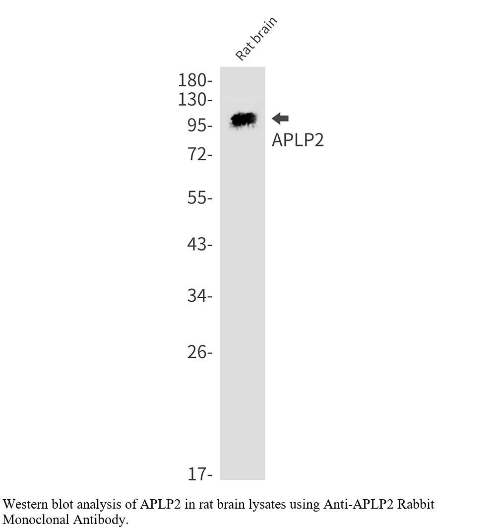 生物相关数据