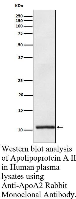 生物相关数据