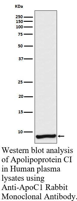 生物相关数据