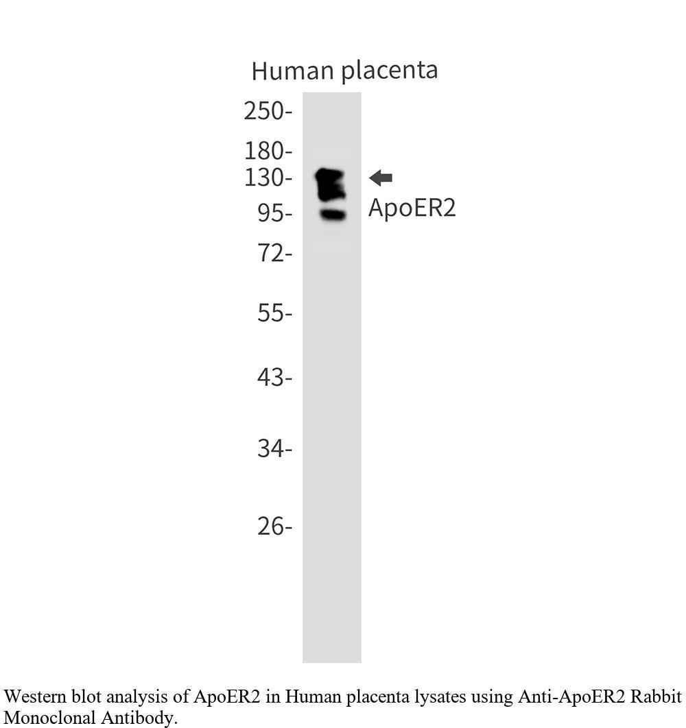 生物相关数据