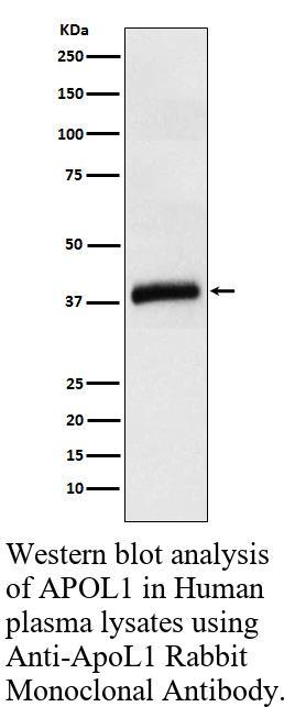 生物相关数据