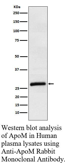 生物相关数据