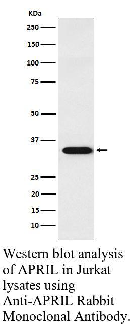 生物相关数据
