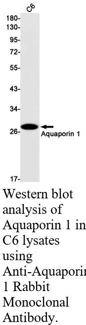 生物相关数据