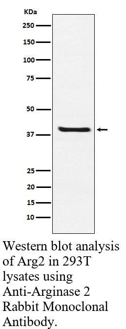 生物相关数据