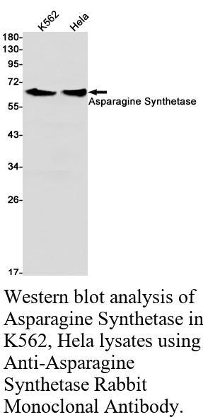 生物相关数据