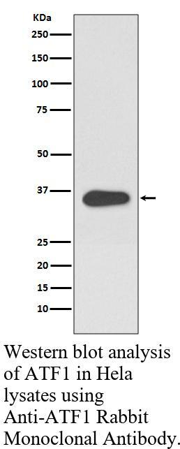 生物相关数据
