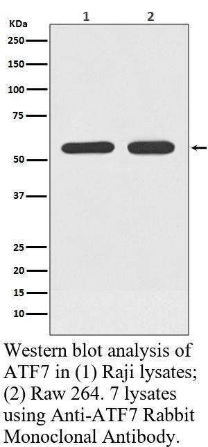 生物相关数据
