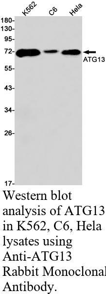 生物相关数据