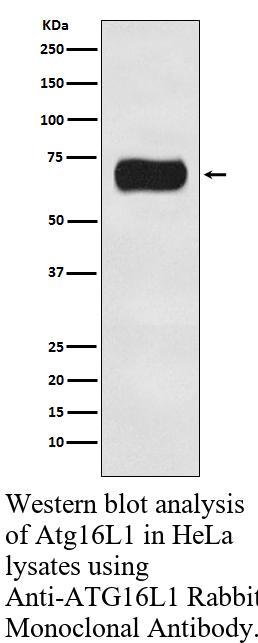 生物相关数据