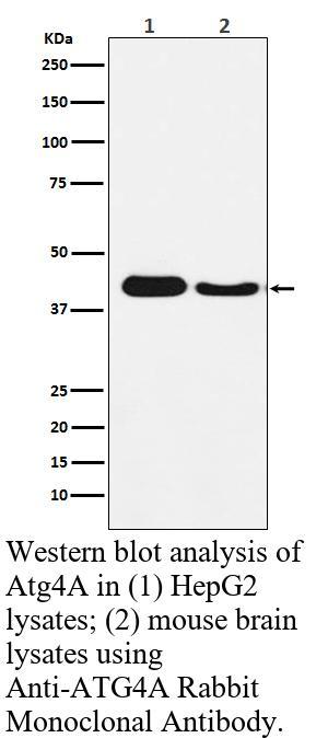 生物相关数据