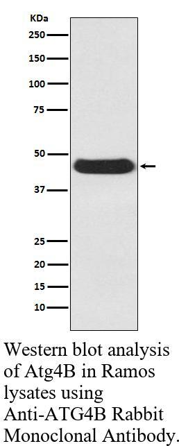 生物相关数据