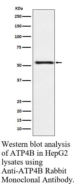 生物相关数据