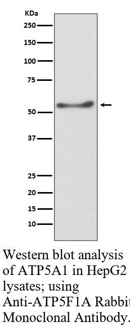生物相关数据