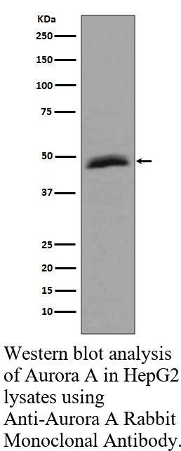 生物相关数据