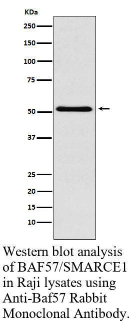 生物相关数据