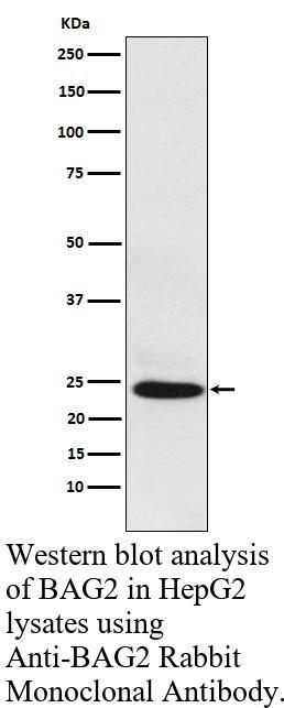 生物相关数据