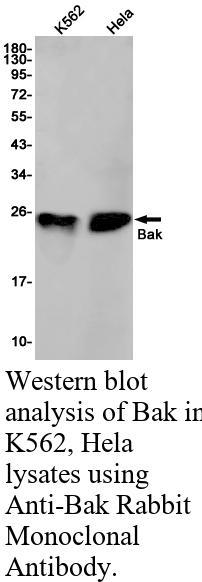 生物相关数据