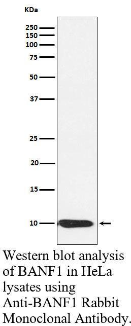 生物相关数据