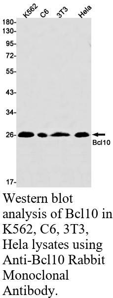生物相关数据