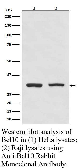 生物相关数据