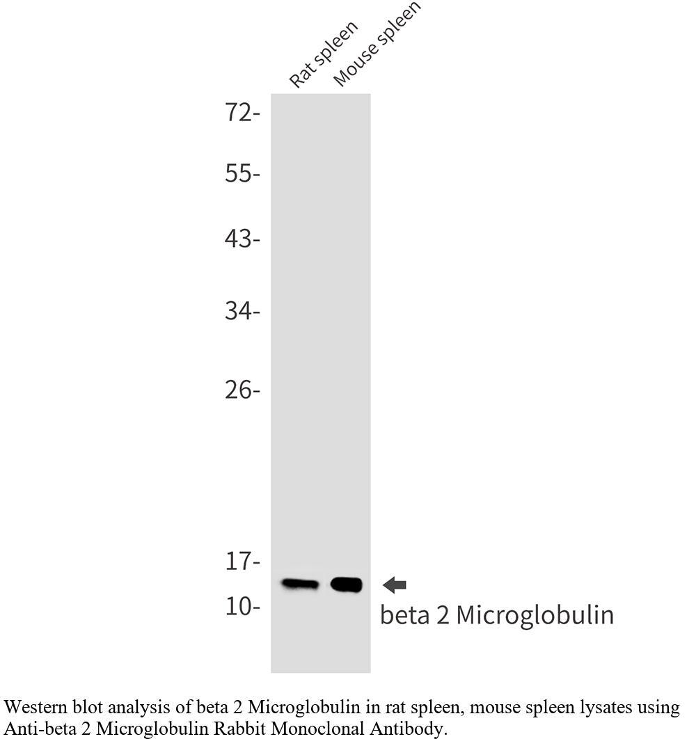 生物相关数据