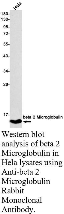 生物相关数据