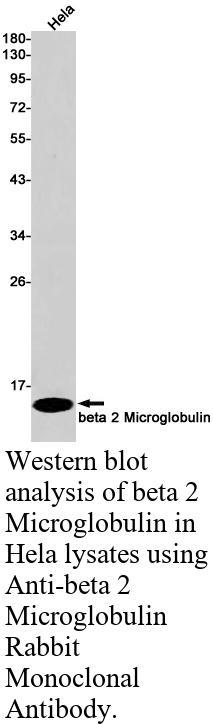 生物相关数据