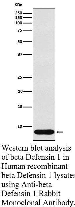 生物相关数据