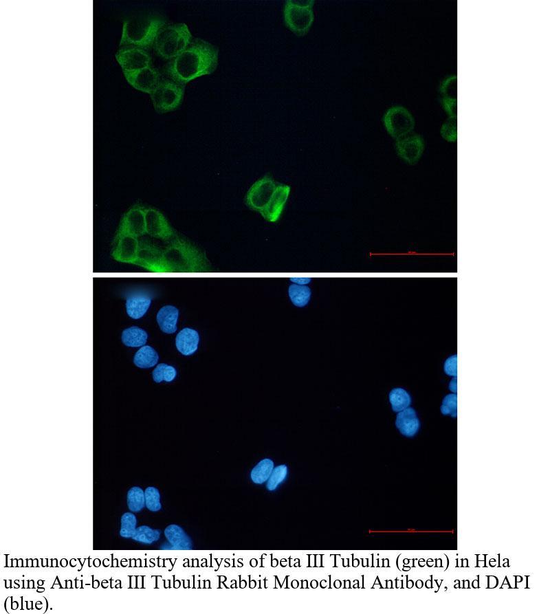 生物相关数据