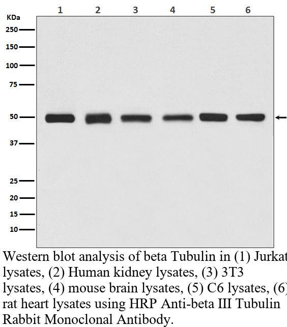 生物相关数据