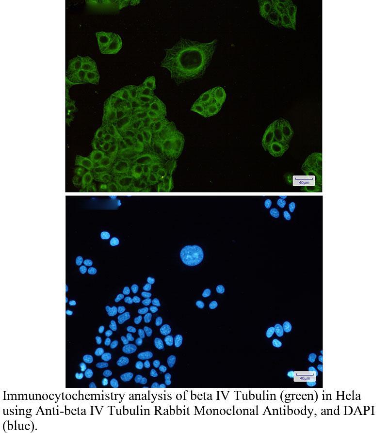 生物相关数据