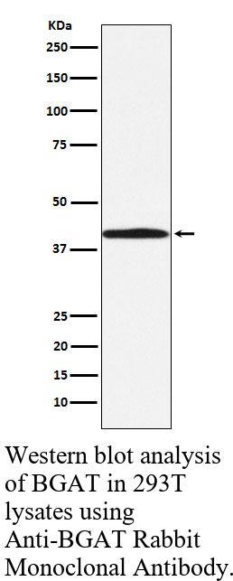 生物相关数据