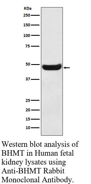 生物相关数据
