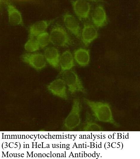 生物相关数据