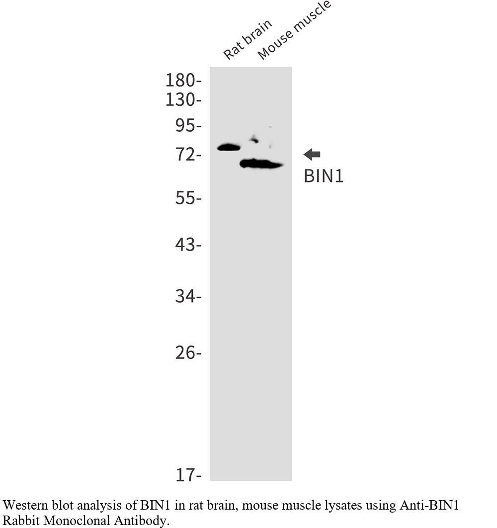生物相关数据