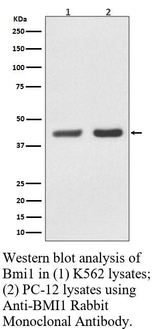 生物相关数据