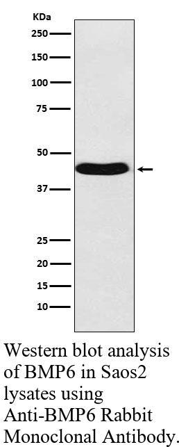 生物相关数据