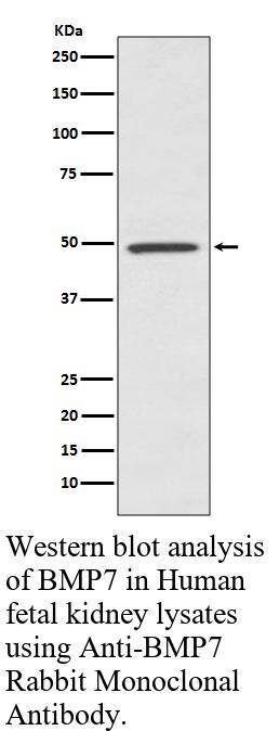 生物相关数据