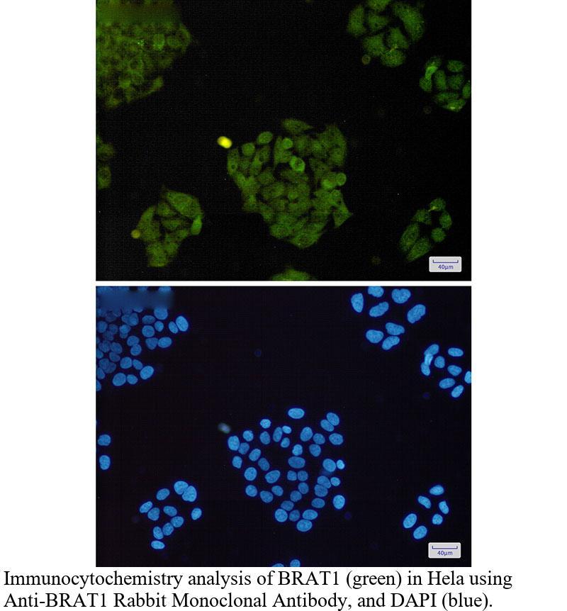 生物相关数据