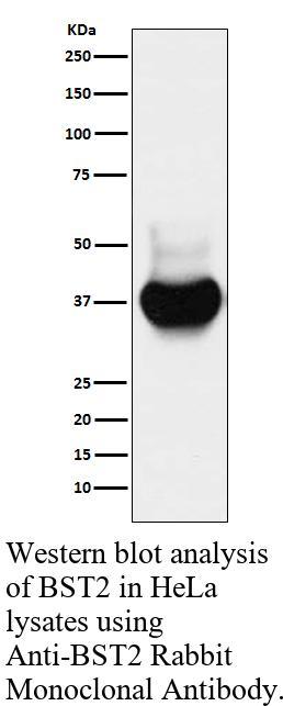 生物相关数据