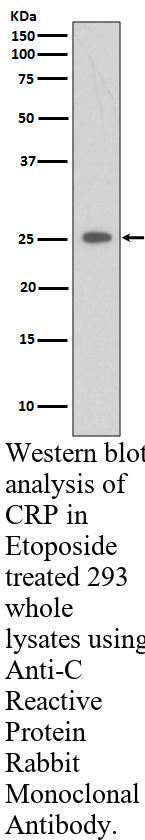 生物相关数据