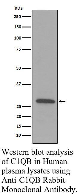 生物相关数据