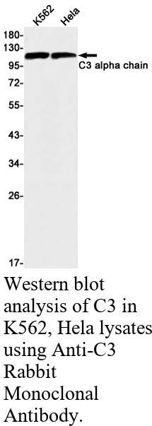 生物相关数据