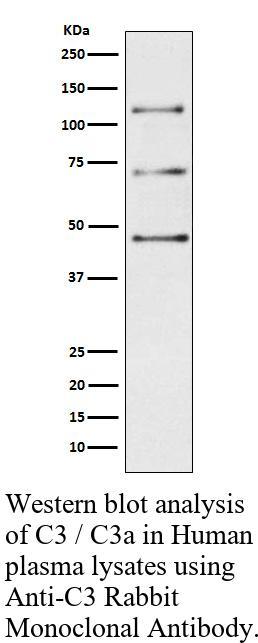 生物相关数据