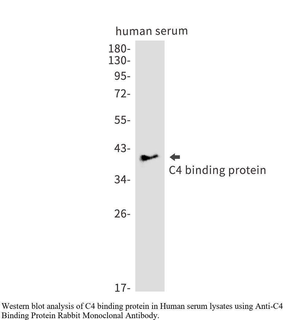 生物相关数据