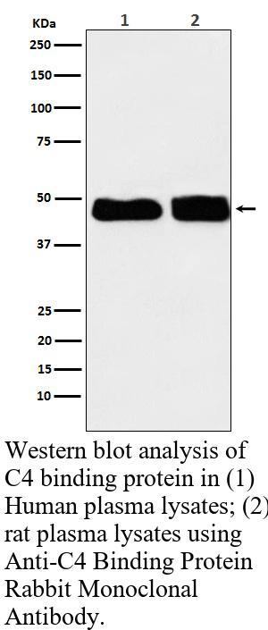 生物相关数据