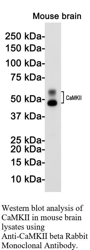 生物相关数据