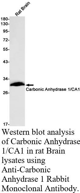 生物相关数据