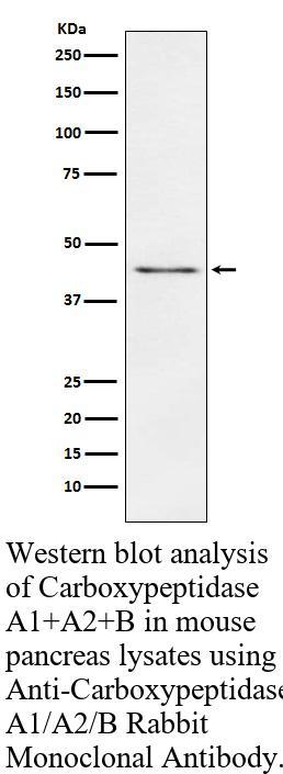 生物相关数据